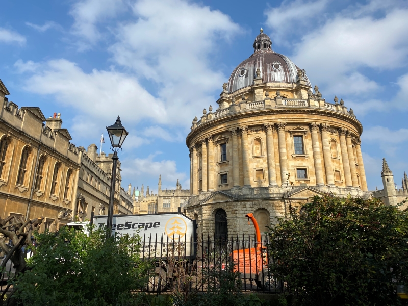 Tree Pruning – Radcliffe Camera, University Of Oxford